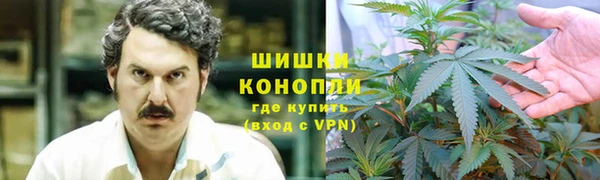 первитин Горняк