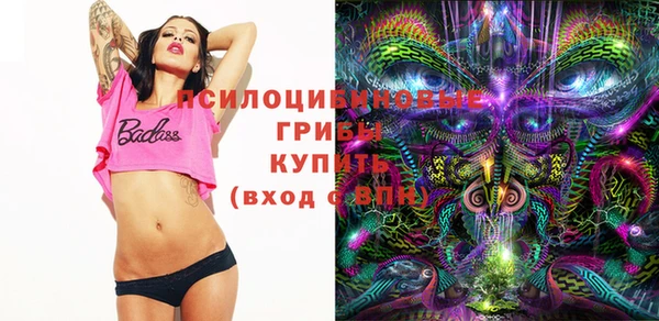 метамфетамин Гусь-Хрустальный