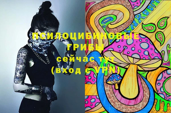 мескалин Гусев