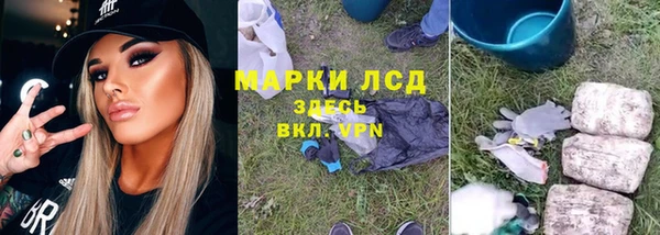дурь Гусиноозёрск