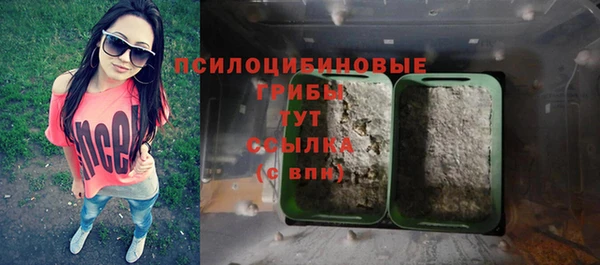 мескалин Гусев