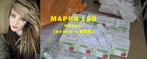 дурь Гусиноозёрск
