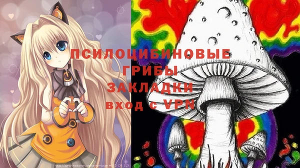 дурь Гусиноозёрск