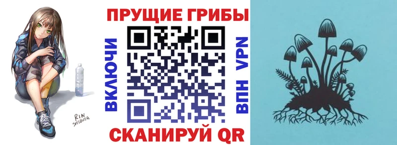 Галлюциногенные грибы MAGIC MUSHROOMS сайты даркнета как зайти Гусь-Хрустальный